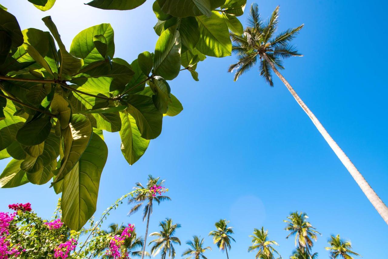 Uroa Beach Lodge Luaran gambar