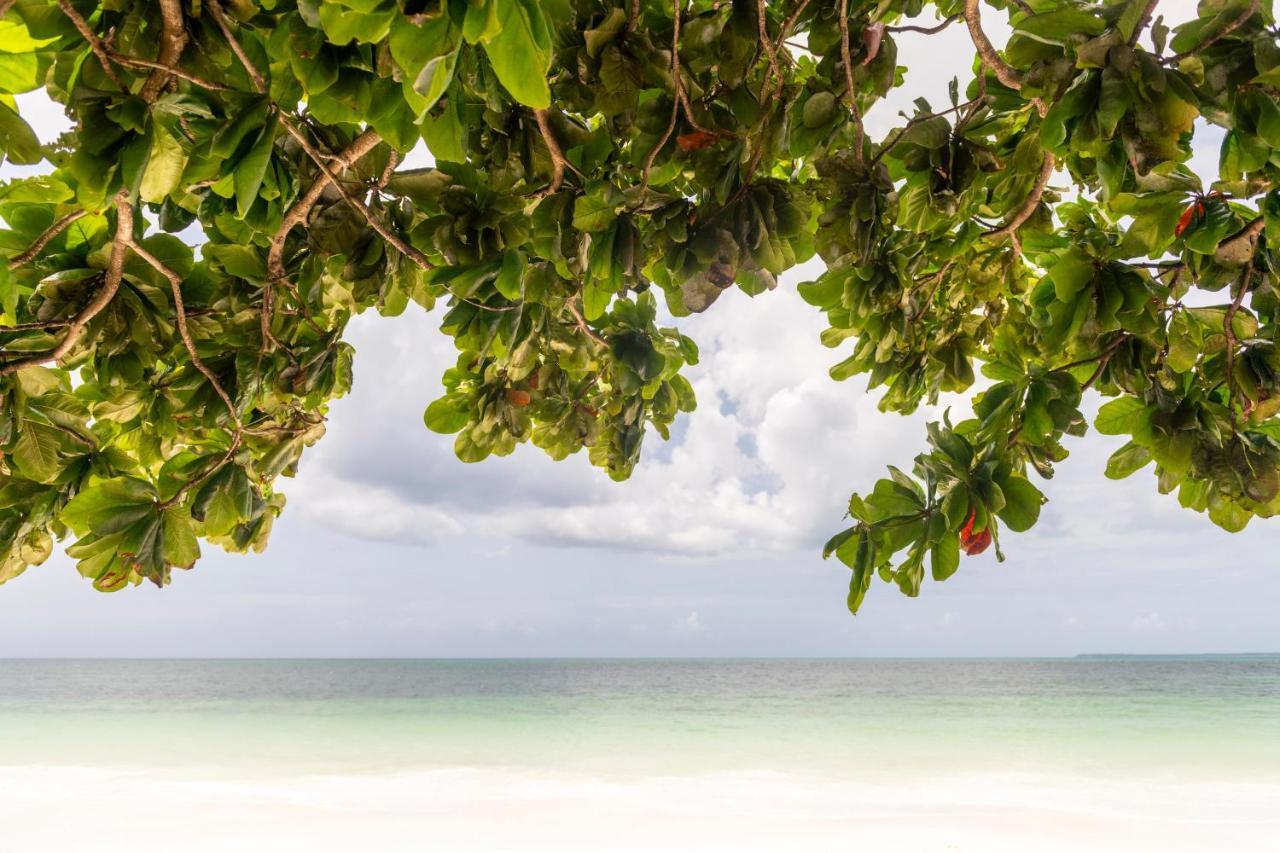 Uroa Beach Lodge Luaran gambar